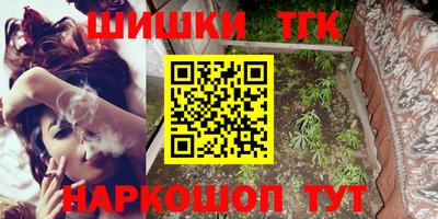 гашик Аргун