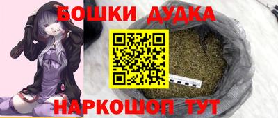 СК Лесосибирск