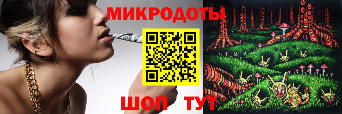 Галлюциногенные грибы мицелий  Камень-на-Оби 