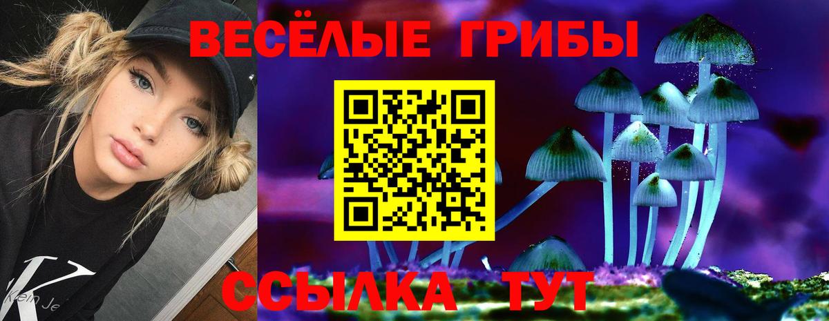 Псилоцибиновые грибы ЛСД Камень-на-Оби